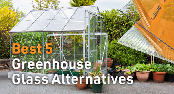 Greenhouse Glass – Best 5 Alternative Greenhouse Plastic Options