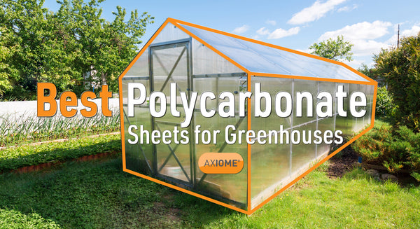 Best greenhouse polycarbonate sheets for greenhouses - twinwall or solid