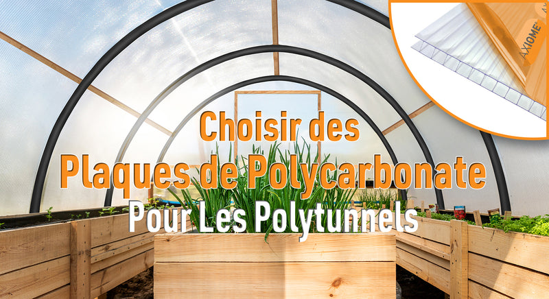 Choisir des plaques de polycarbonate pour les polytunnels