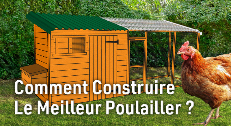 Comment construire le meilleur poulailler ?