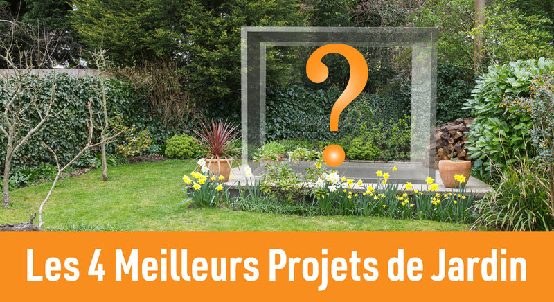 Les 4 meilleurs projets de jardin