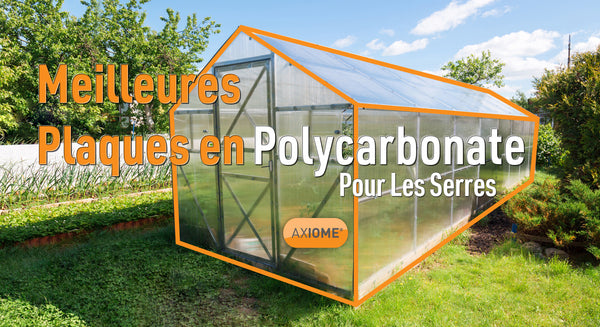 Meilleures plaques en polycarbonate pour les serres