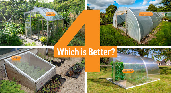 What is better? Greenhouse, Polytunnel or Cold Frame